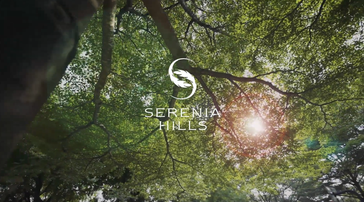 Serenia Hills: What Coming Home Is All About